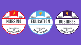 three, round 2020 colleges of distinction badges: business, education, nursing