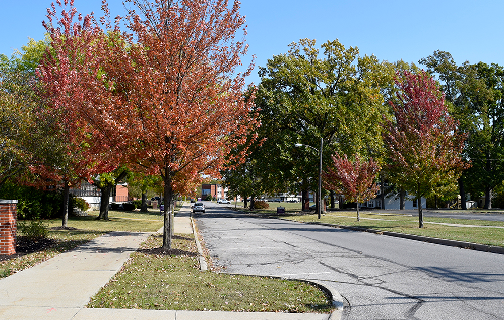 Dana street parking