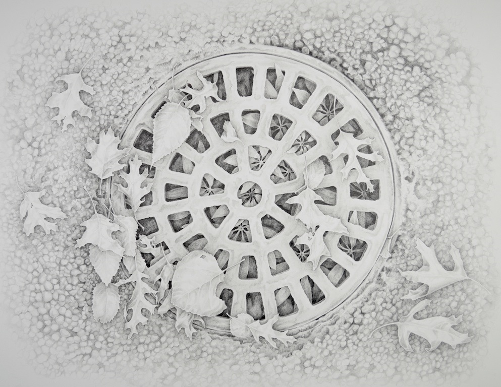 Pencil drawing of decorative wheel and plants