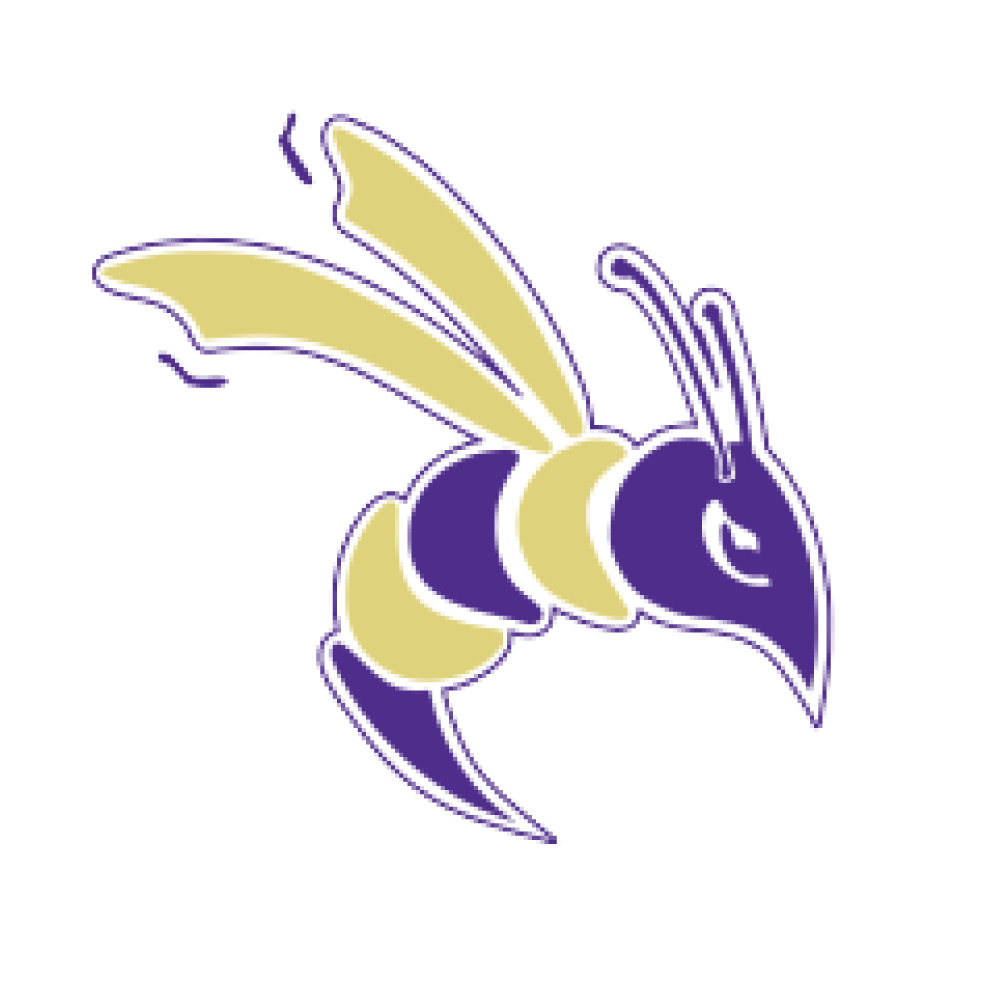 A stylized yellow and purple hornet with prominent wings and antennae, facing right, set against a plain white background.